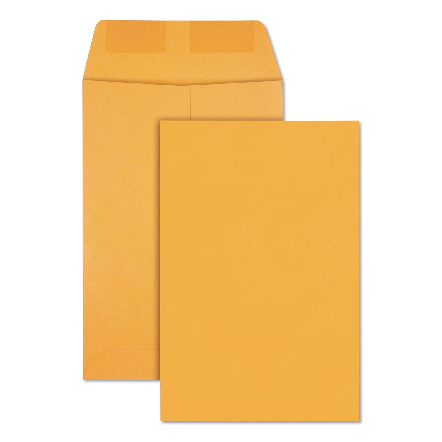 Quality Park Catalog Envelope | #1 Brown Kraft