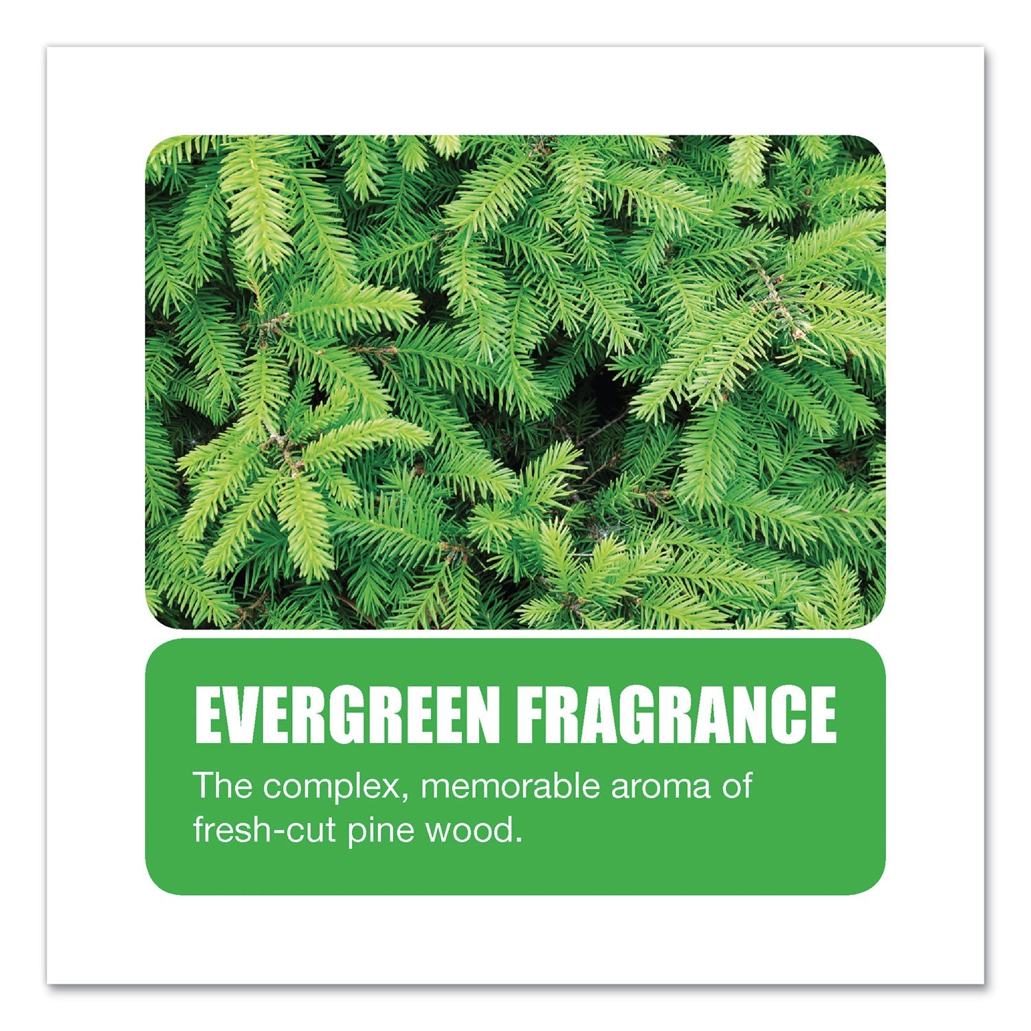 Big D Industries Extra Duty Urinal Screen With Non-Para Block, Evergreen With Enzymes Scent, White, Dozen