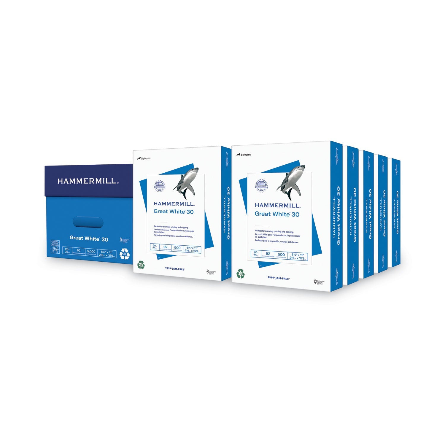 Hammermill® Great White 30 Recycled Print Paper, 92 Bright, 20 lb Bond Weight, 8.5 x 11, White, 500 Sheets/Ream, 10 Reams/Carton