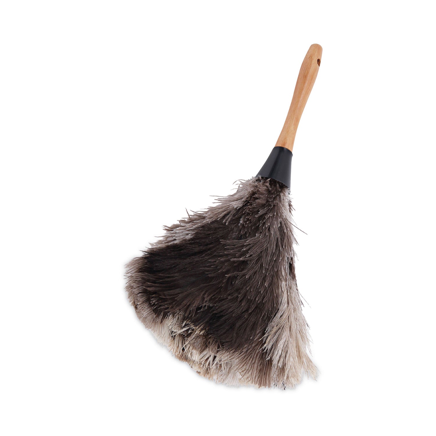 Ostrich Feather Duster | Boardwalk® Professional