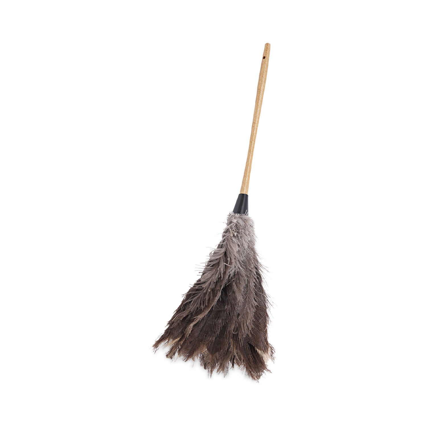 Professional Ostrich Feather Duster | 16" Handle