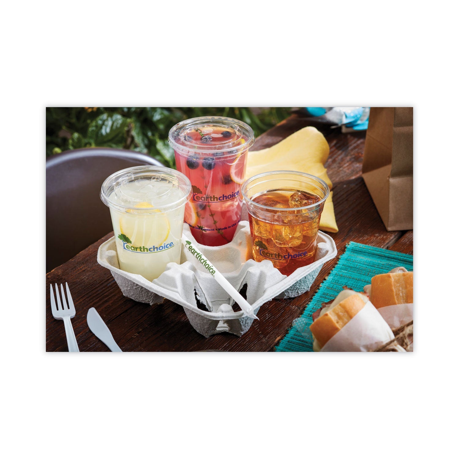 Pactiv Evergreen EarthChoice Carry-Safe Beverage Carrier, 8 oz to 32 oz, Four Cups + Food Tray, Natural, 300/Carton - Bloom Skins
