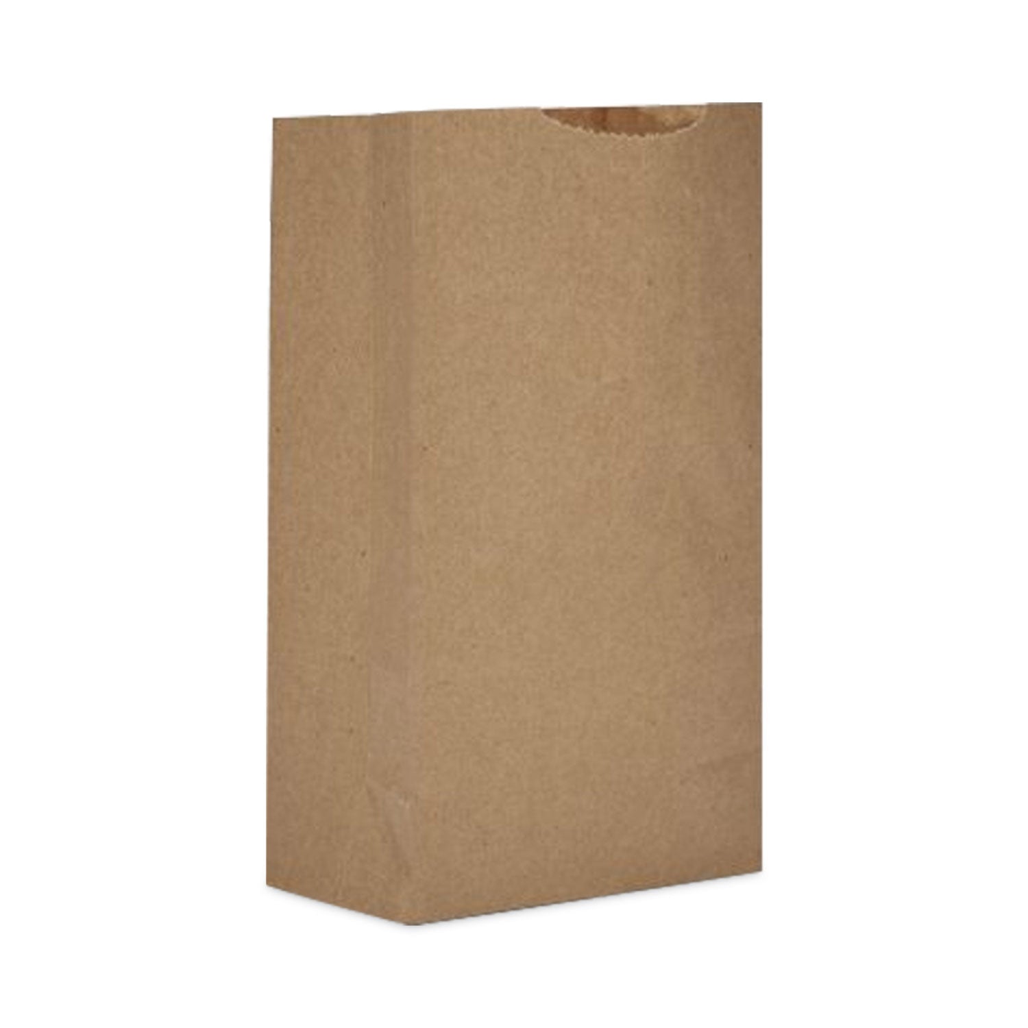 AJM Packaging Corporation Grocery Bag, 16" x 9" x 20.5", Brown, 250/Bundle - Bloom Skins