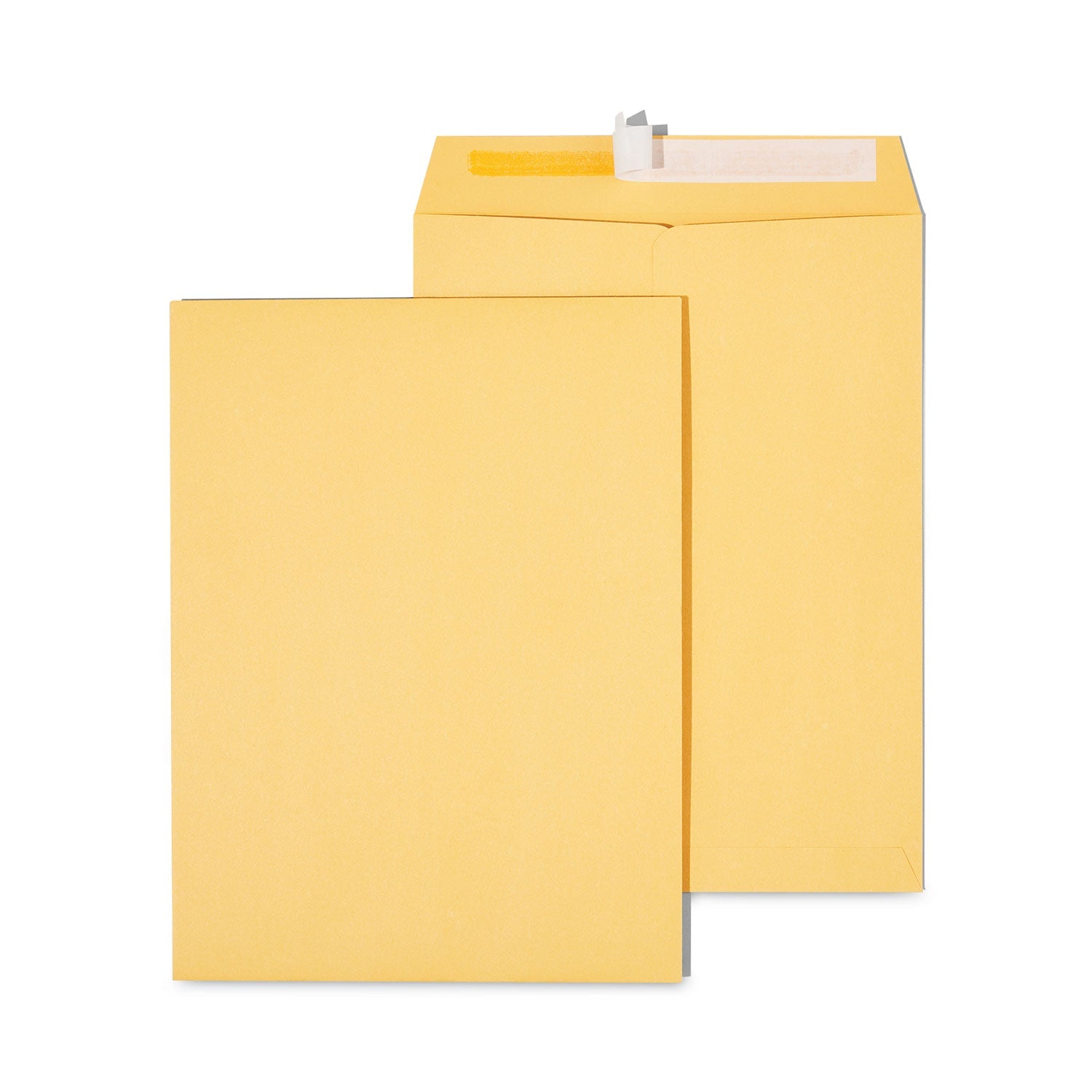 Universal Peel Seal Strip Catalog Envelope | 9x12