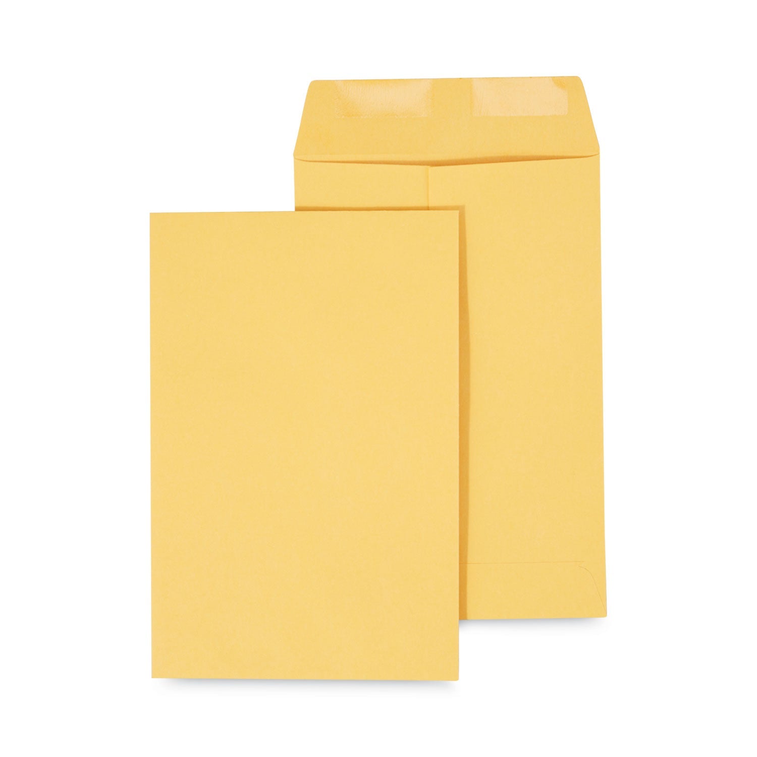 Catalog Envelope | 6.5x9.5 Kraft | 500/Box