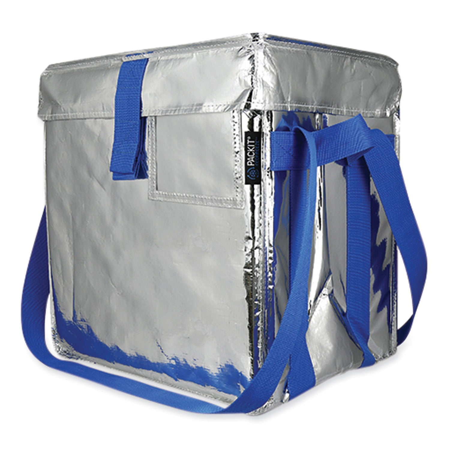 PackIt Fresh Eco Freeze Tote | Silver/Blue