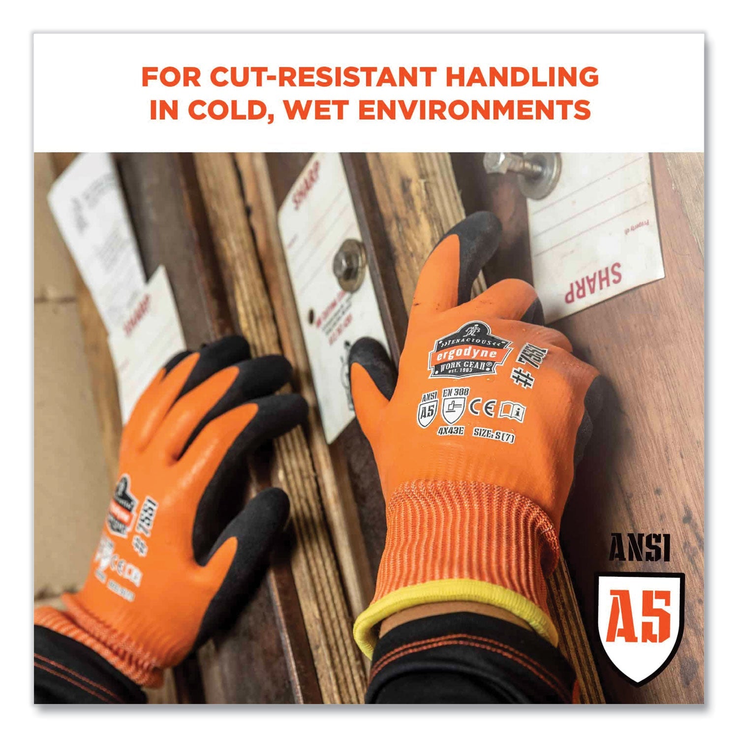 ergodyne® ProFlex 7551 ANSI A5 Coated Waterproof CR Gloves, Small, Orange, Pair - Bloom Skins