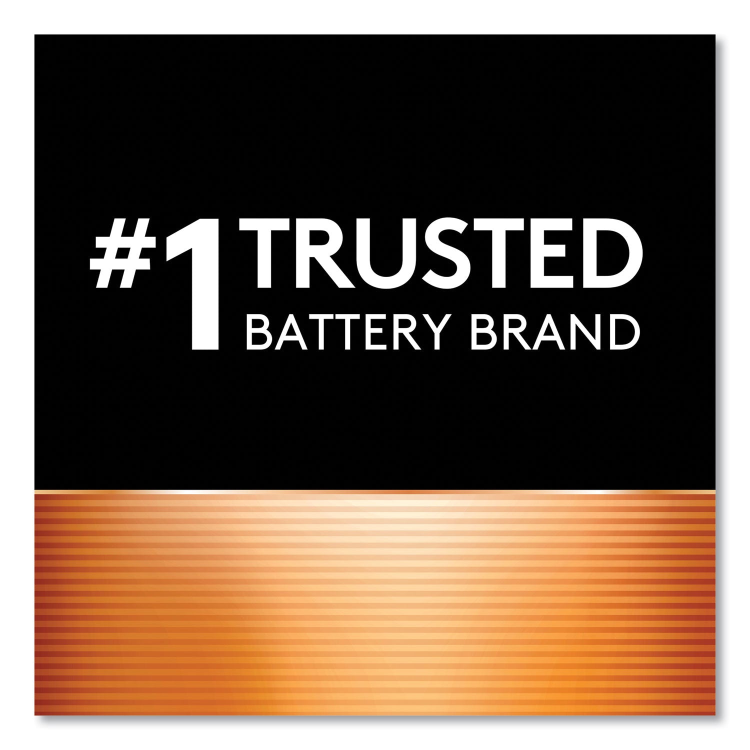 Duracell® Power Boost CopperTop Alkaline AAA Batteries, 20/Pack