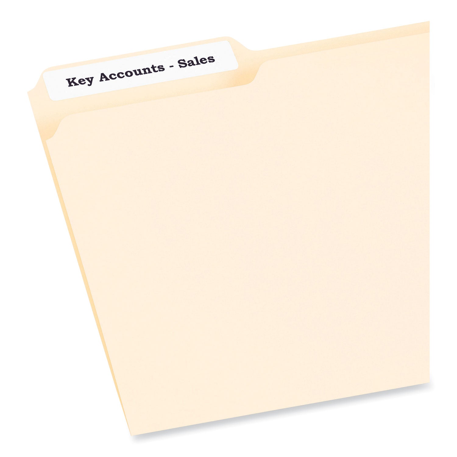 PRES-a-ply® Labels, 0.66 X 3.44, White, 30/sheet, 50 Sheets/box