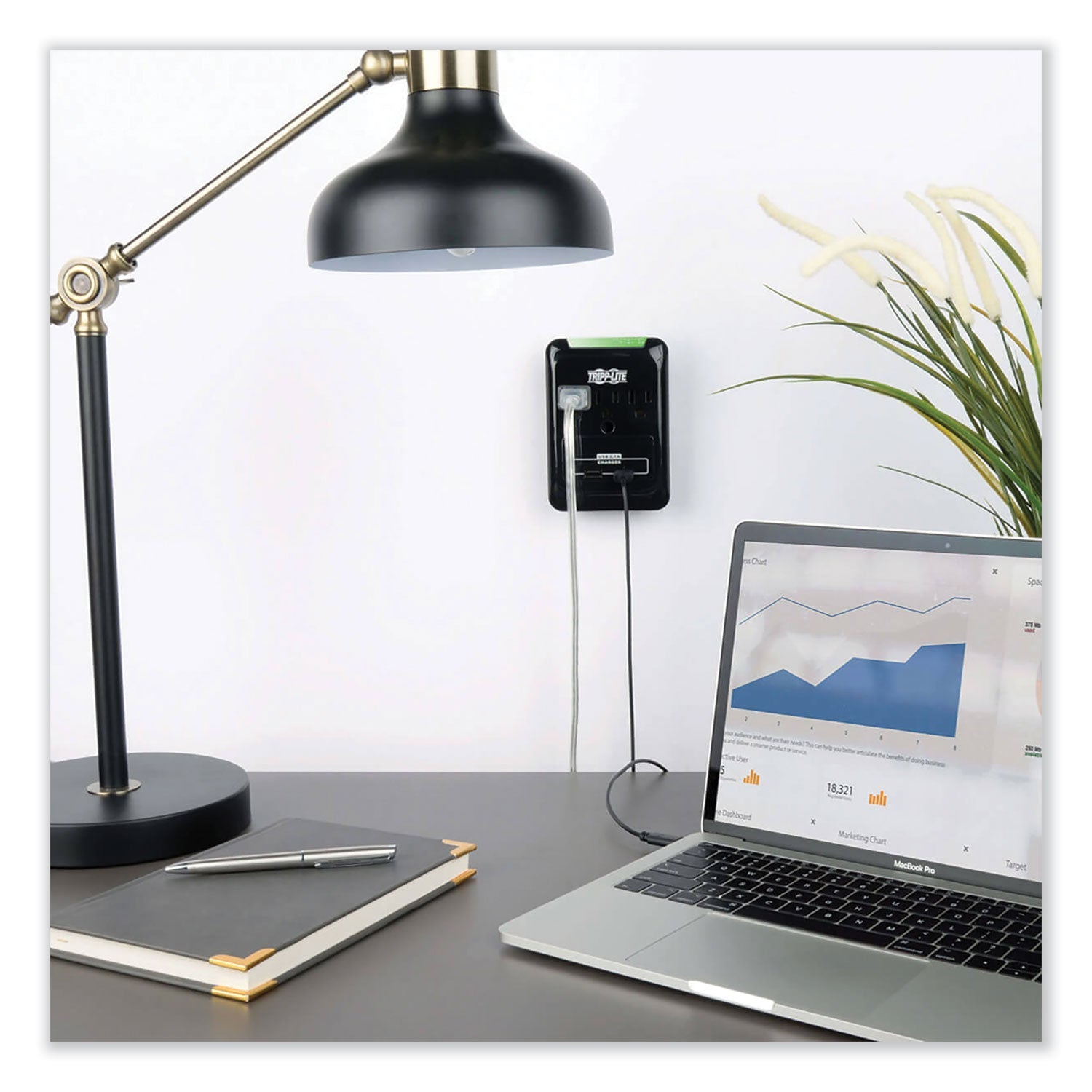 Tripp Lite by Eaton Protect It! Surge Protector, 3 AC Outlets/2 USB Ports, 540 J, Black - Bloom Skins