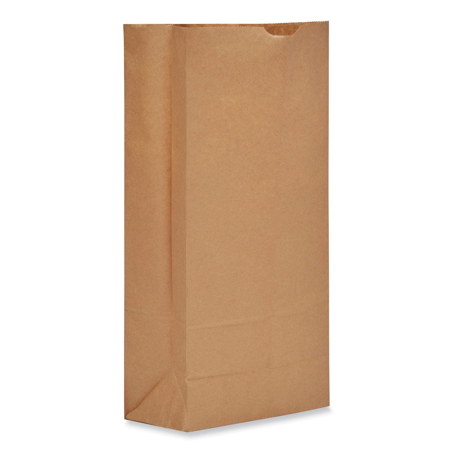Ross & Wallace Paper Products Grocery Paper Bags, #25 Size, Heavy-Duty, 8.25" x 5.38" x 18", Natural, 500/Bundle