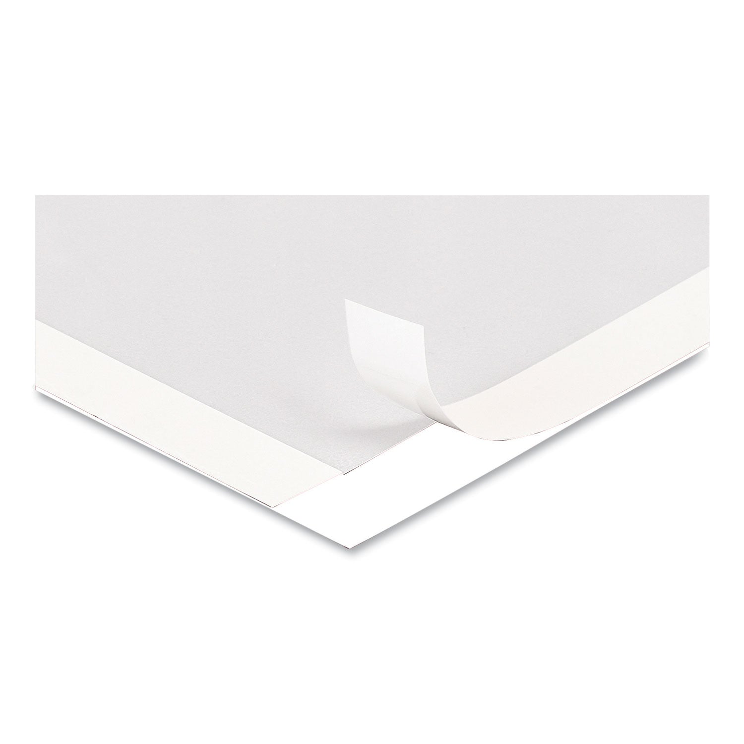 deflecto® Self Adhesive Sign Holders, 11 x 17, Clear with White Border, 2/Pack
