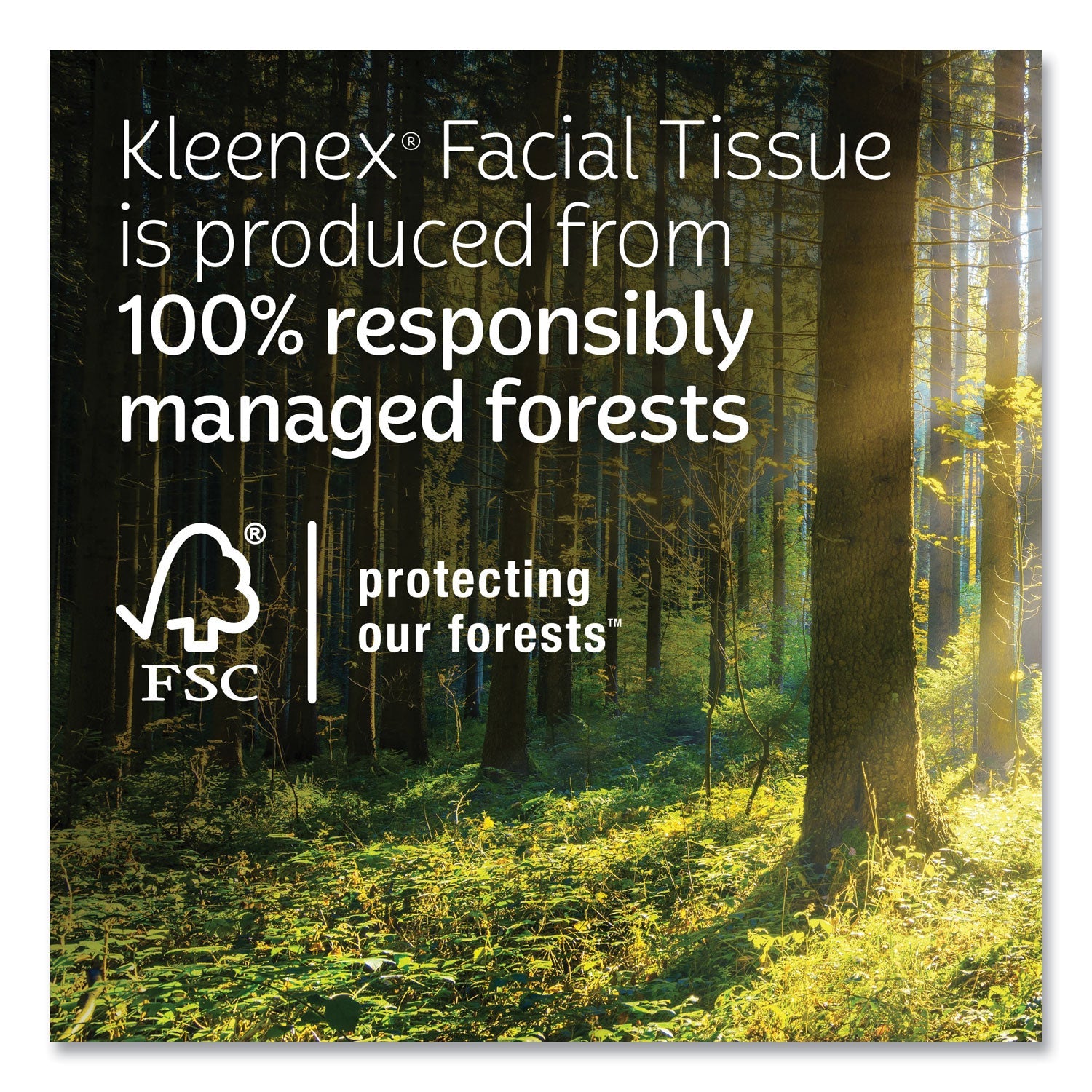 Kleenex® Lotion Facial Tissue, 3-Ply, White, 60 Sheets/Box, 4 Boxes/Pack, 8 Packs/Carton