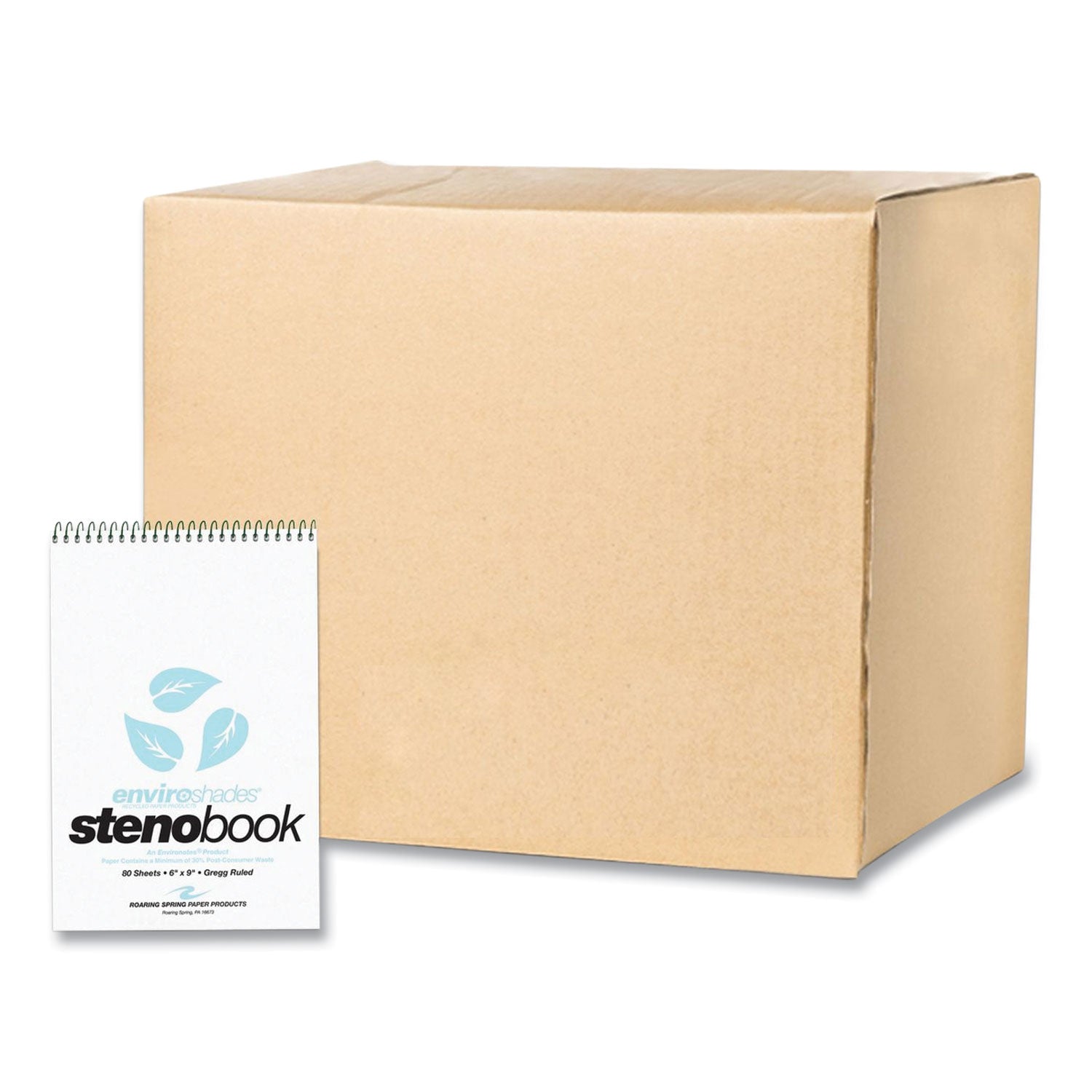 EnviroShades Steno Pad | Gregg Rule, Blue, 24-pk