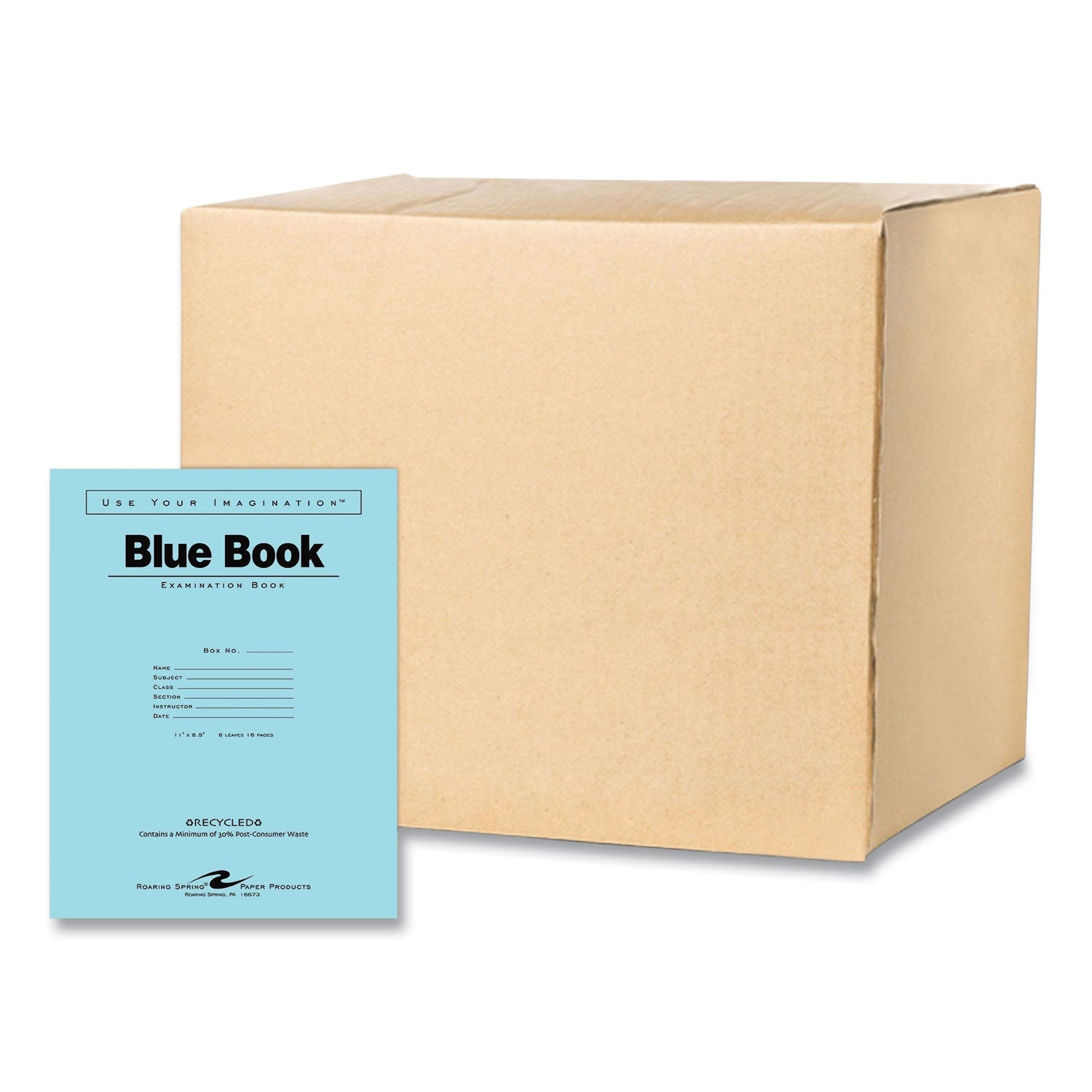 Recycled Exam Book | Wide Rule, Blue, 500/CT