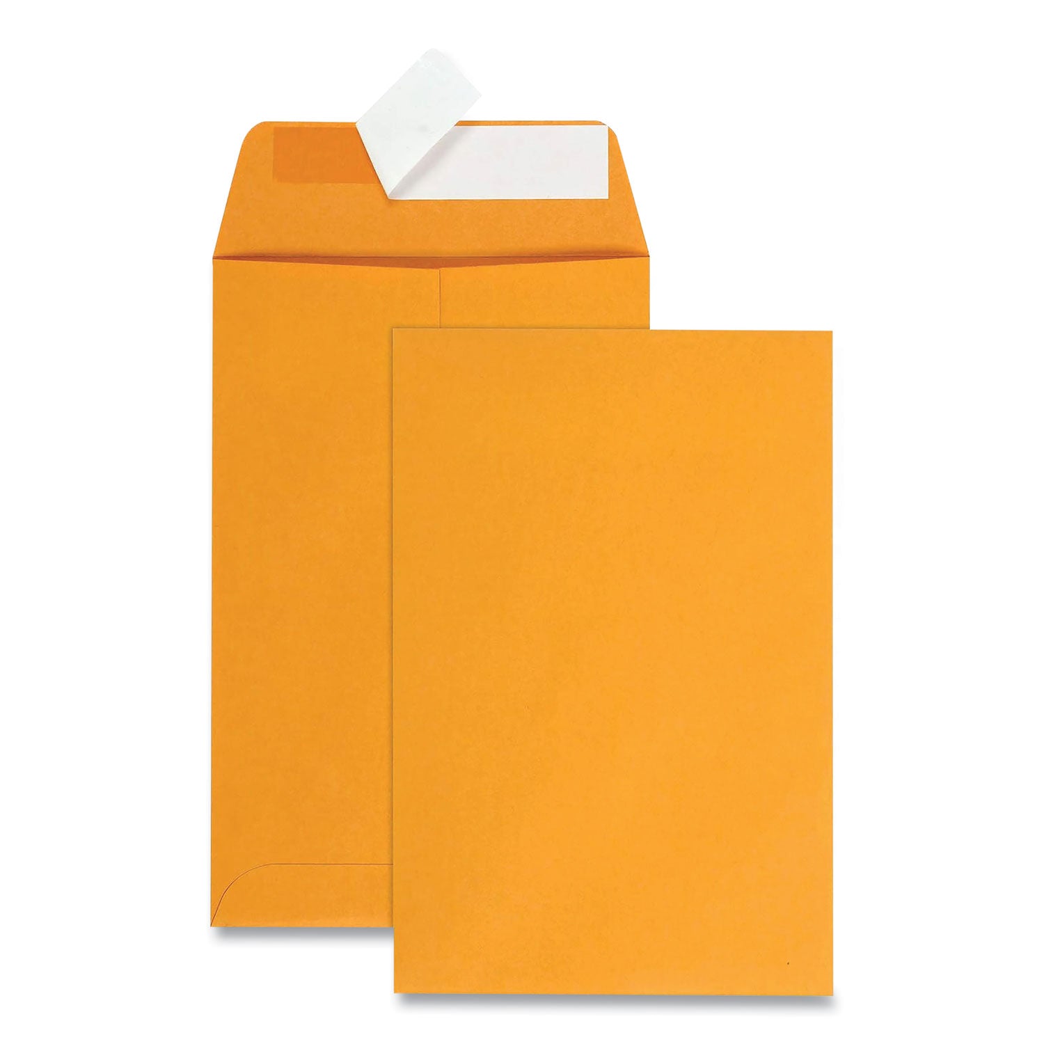 Quality Park Redi-Strip Catalog Envelope | 6x9