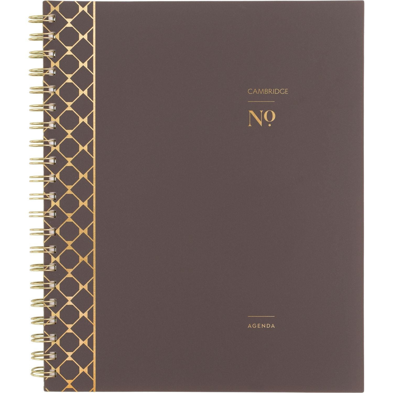 Cambridge® Workstyle Monthly Poly Planner, Geometric Artwork, 11 x 8.5, Java Brown/Gold Cover, 12-Month (Jan to Dec): 2025