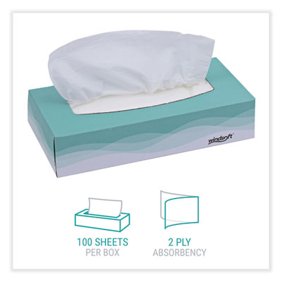Facial Tissue | 2-Ply, White, 100-Sheets, 30-Box