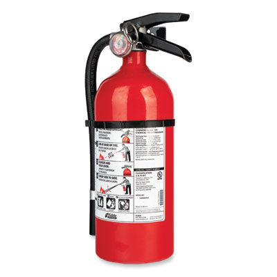Pro 210 Fire Extinguisher | 4lb, 2-A, 10-B:C