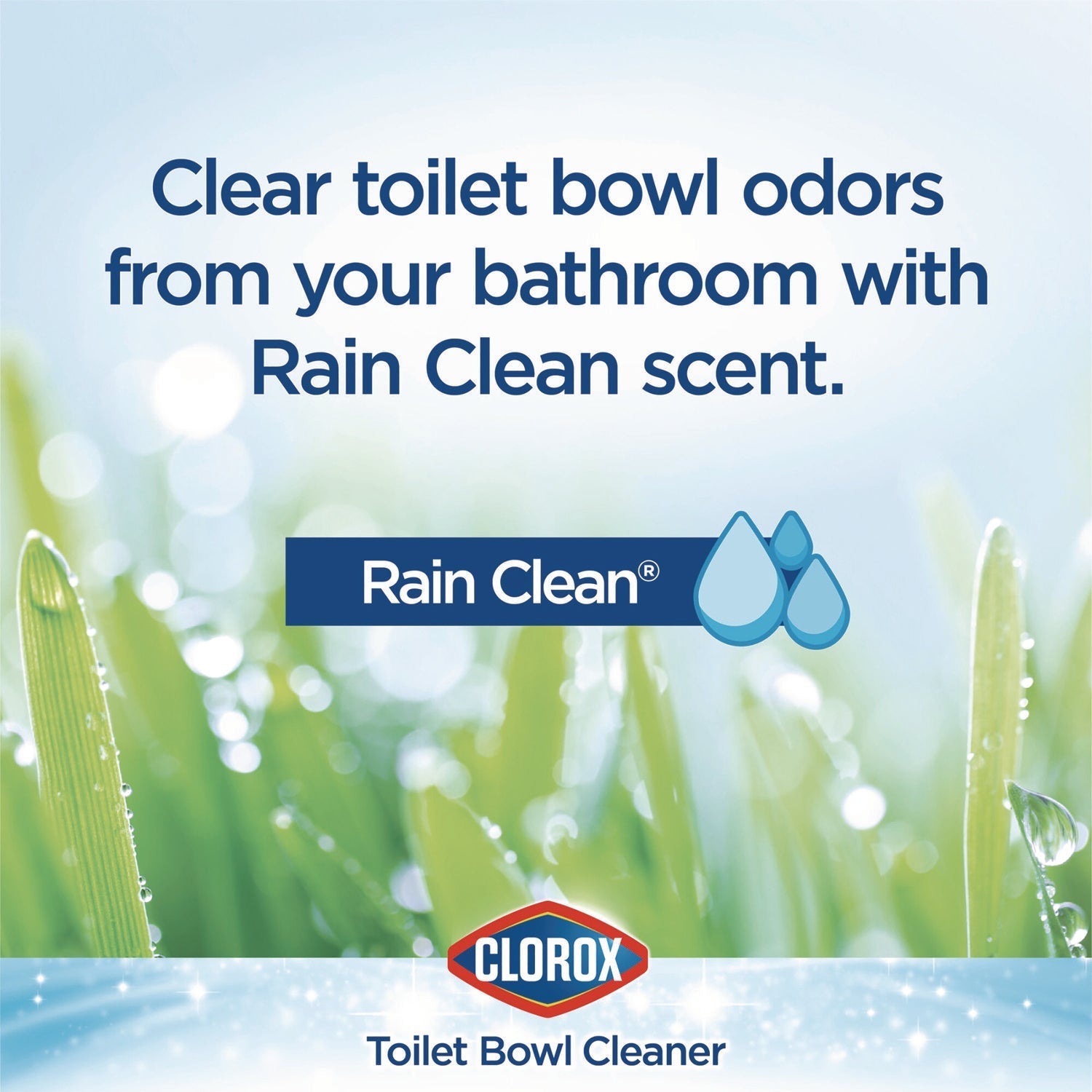 Clorox® Disinfecting Toilet Bowl Cleaner with Bleach, Rain Clean Scent, 24 oz Bottle, 2/Pack