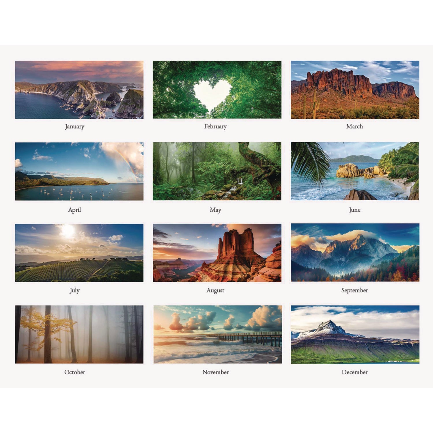 House of Doolittle™ Earthscapes Recycled Monthly Wall Calendar, Scenic Beauty Photography, 12 x 16.5, White Sheets, 12-Month (Jan-Dec): 2025 - Bloom Skins