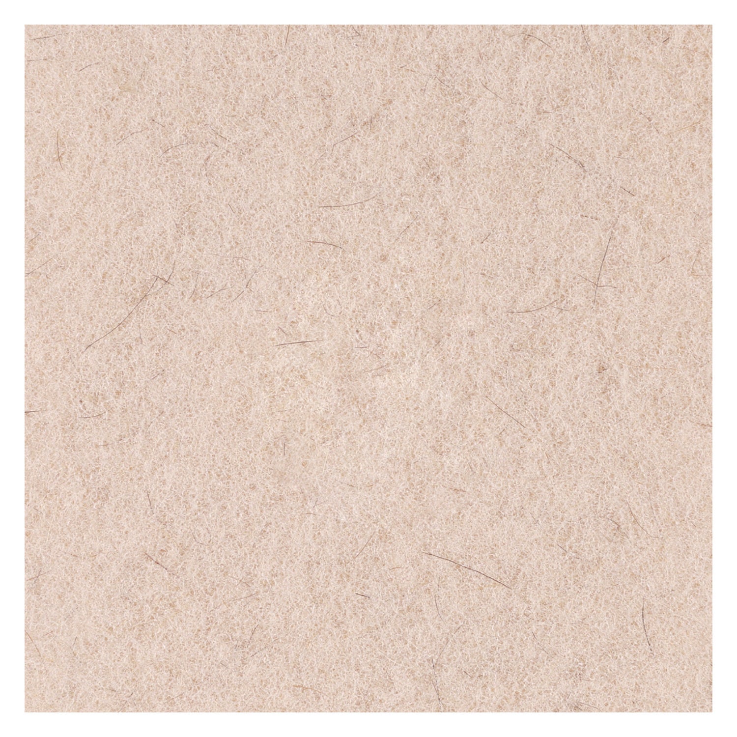 Boardwalk® Natural Hog Hair Burnishing Floor Pads, 21" Diameter, Tan, 5/carton