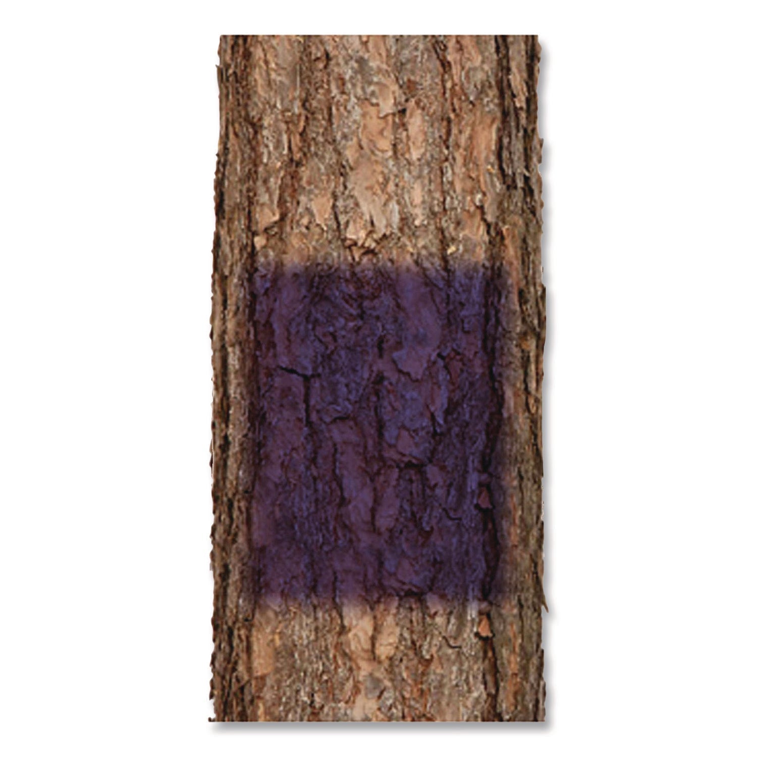 Rust-Oleum® Specialty No Hunting Purple Spray Paint, Flat No Hunting Purple, 12 oz Aerosol Can, 6/Carton