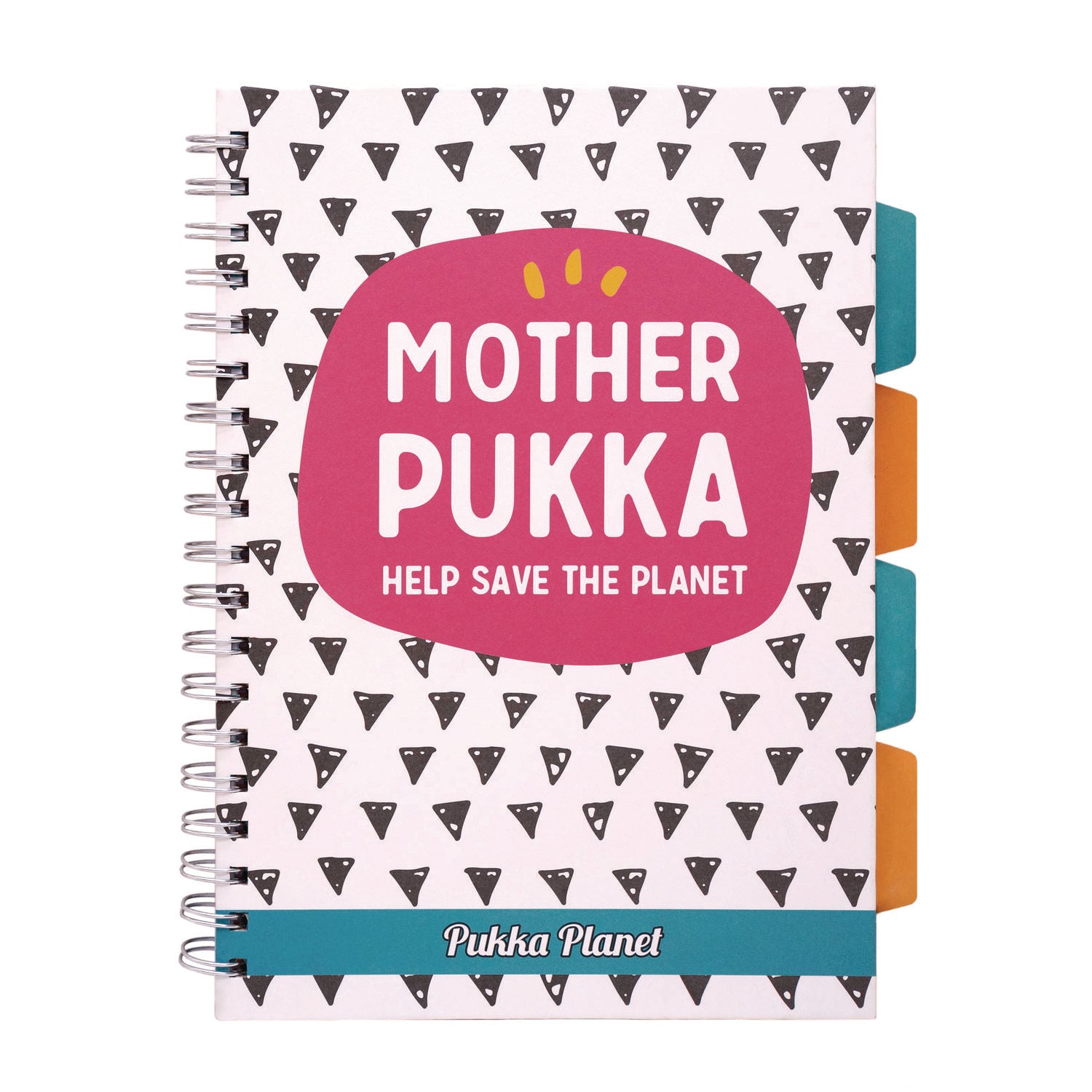 PUKKA PAD® B5 Size Eco Project Book, 4-Subject, Medium/College Rule, Assorted Multicolor Covers, (100) 9.8 x 6.9 Sheets, 2/Pack