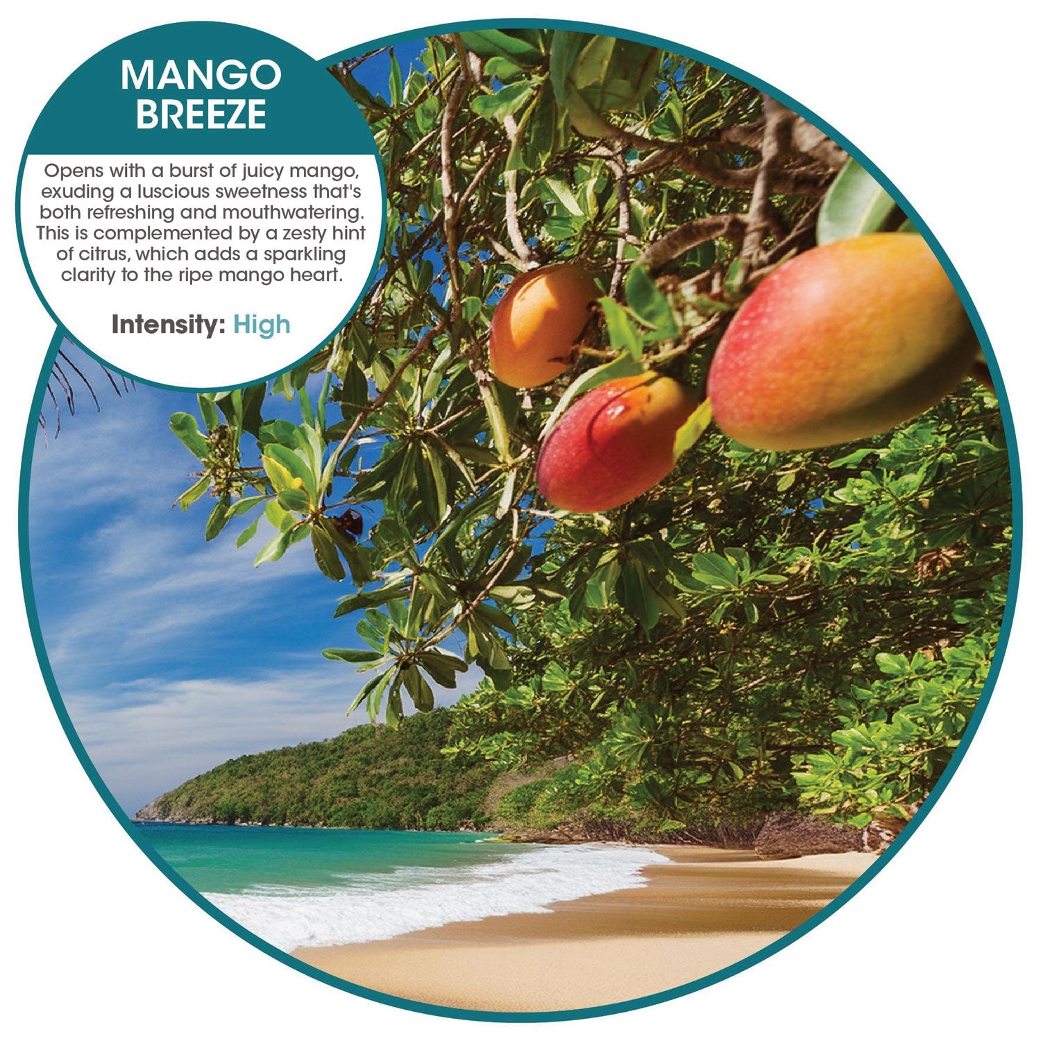 Fresh Products Fusion Metered Aerosols, Mango Breeze, 12/Carton