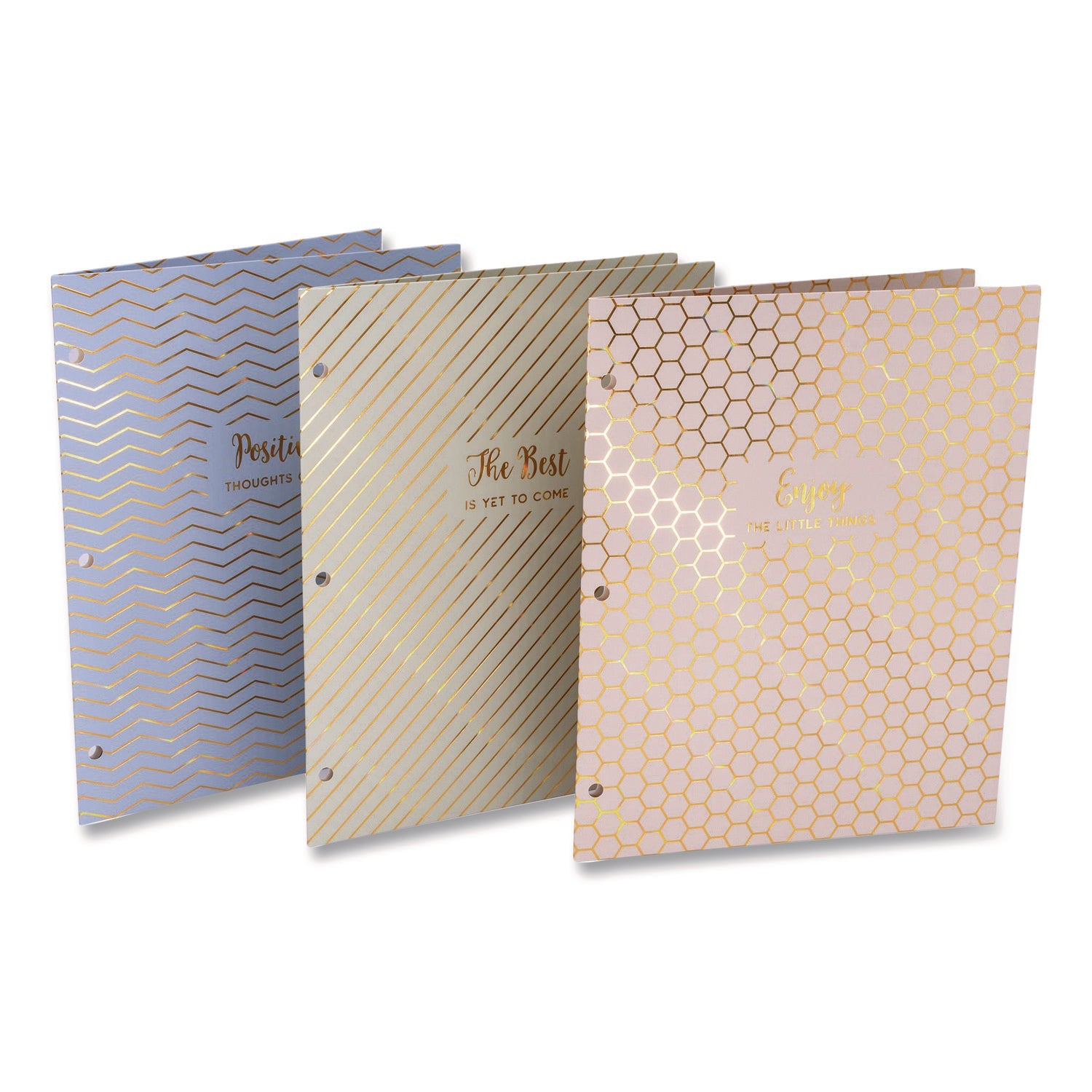 PUKKA PAD® Two-Pocket Portfolio Folder, 1" Capacity, 9.6 x 11.9, Haze, Blue/Green/Taupe, 6/Pack