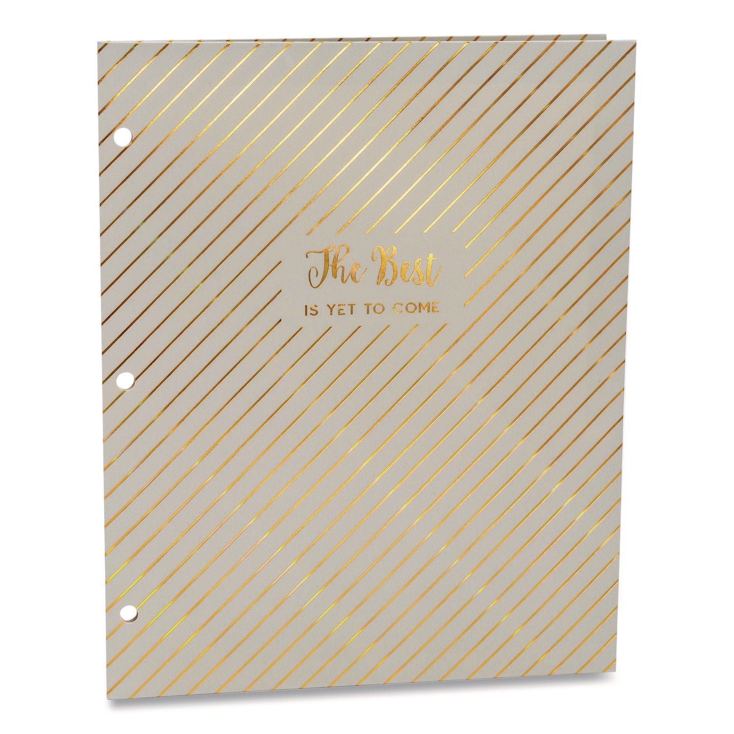 PUKKA PAD® Two-Pocket Portfolio Folder, 1" Capacity, 9.6 x 11.9, Haze, Blue/Green/Taupe, 6/Pack