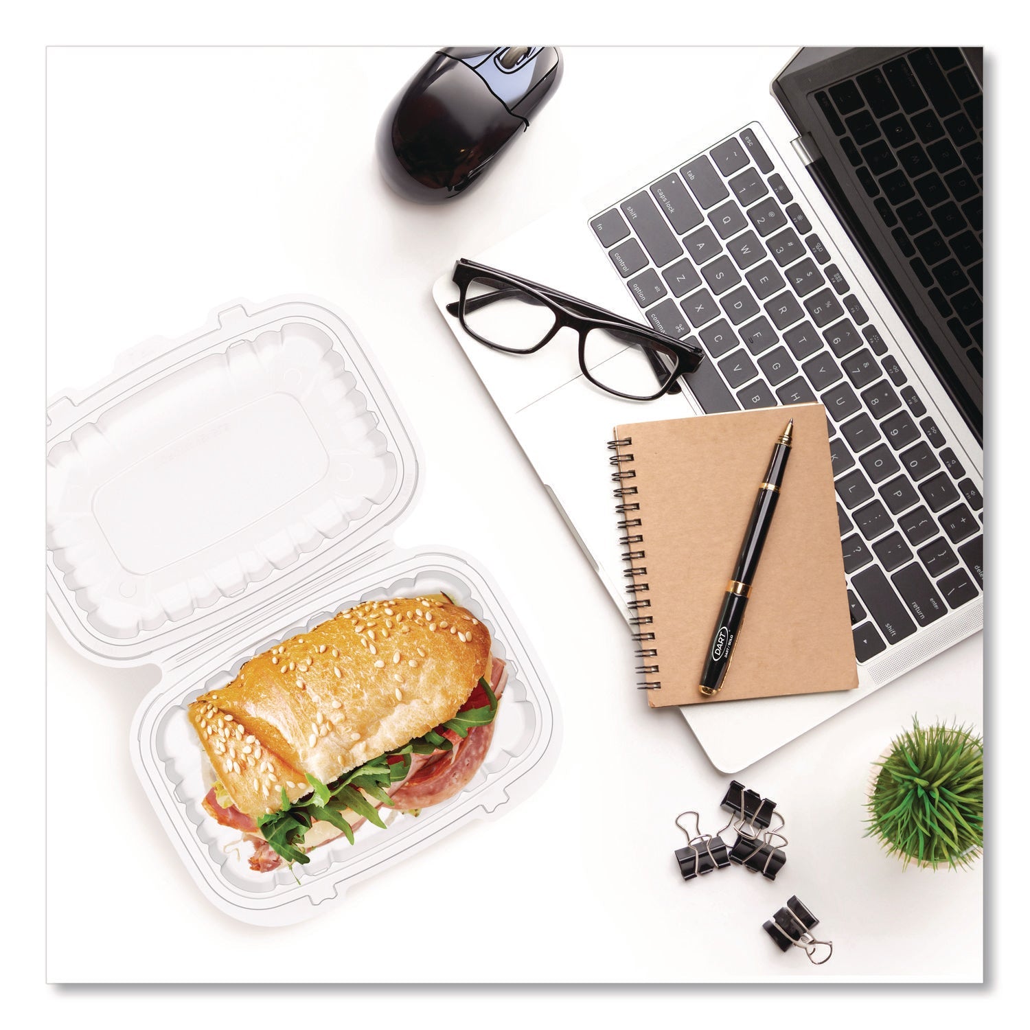 Dart® Microwaveable Hinged Containers, 6.5 x 9 x 3, Clear, Plastic, 300/Carton - Bloom Skins
