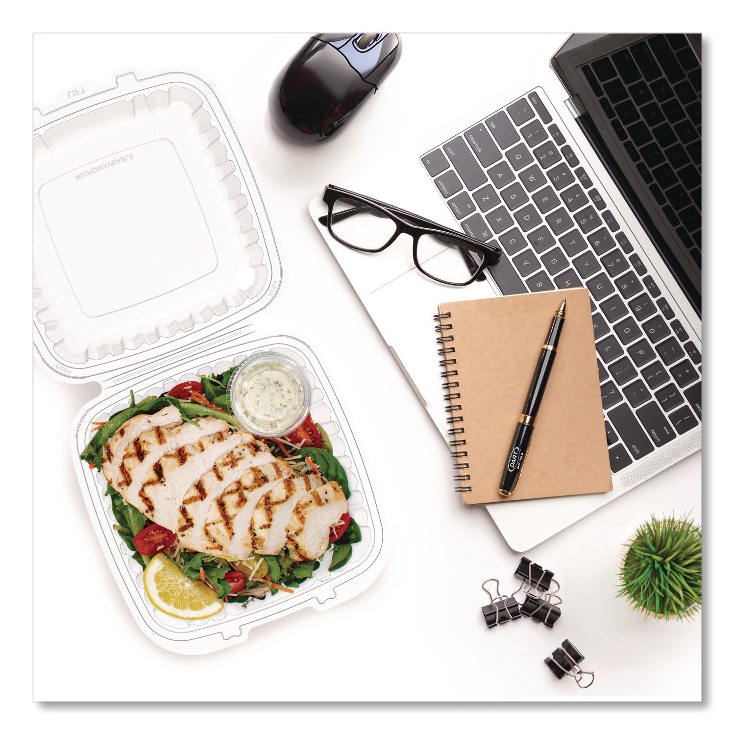 Dart® Microwaveable Hinged Containers, 9 x 8.75 x 3, Clear, Plastic 150/Carton - Bloom Skins