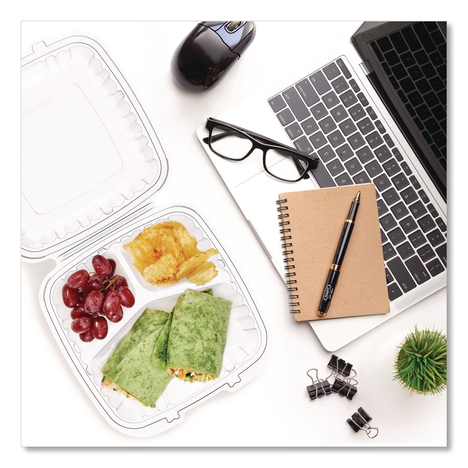 Dart® Microwaveable Hinged Containers, 3 Compartments, 9 x 8.75 x 3, Clear, Plastic,150/Carton - Bloom Skins