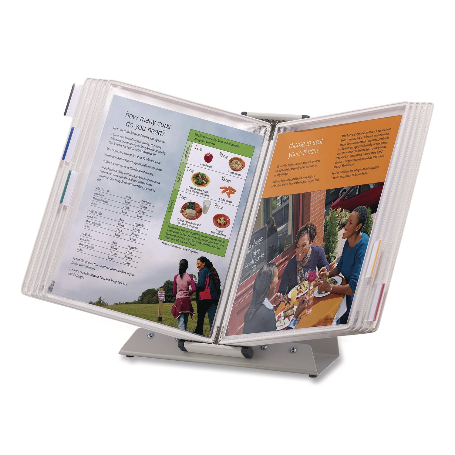 djois® by Tarifold Antimicrobial Desktop Reference and Display System, 10 Panels with White Borders, White Base - Bloom Skins