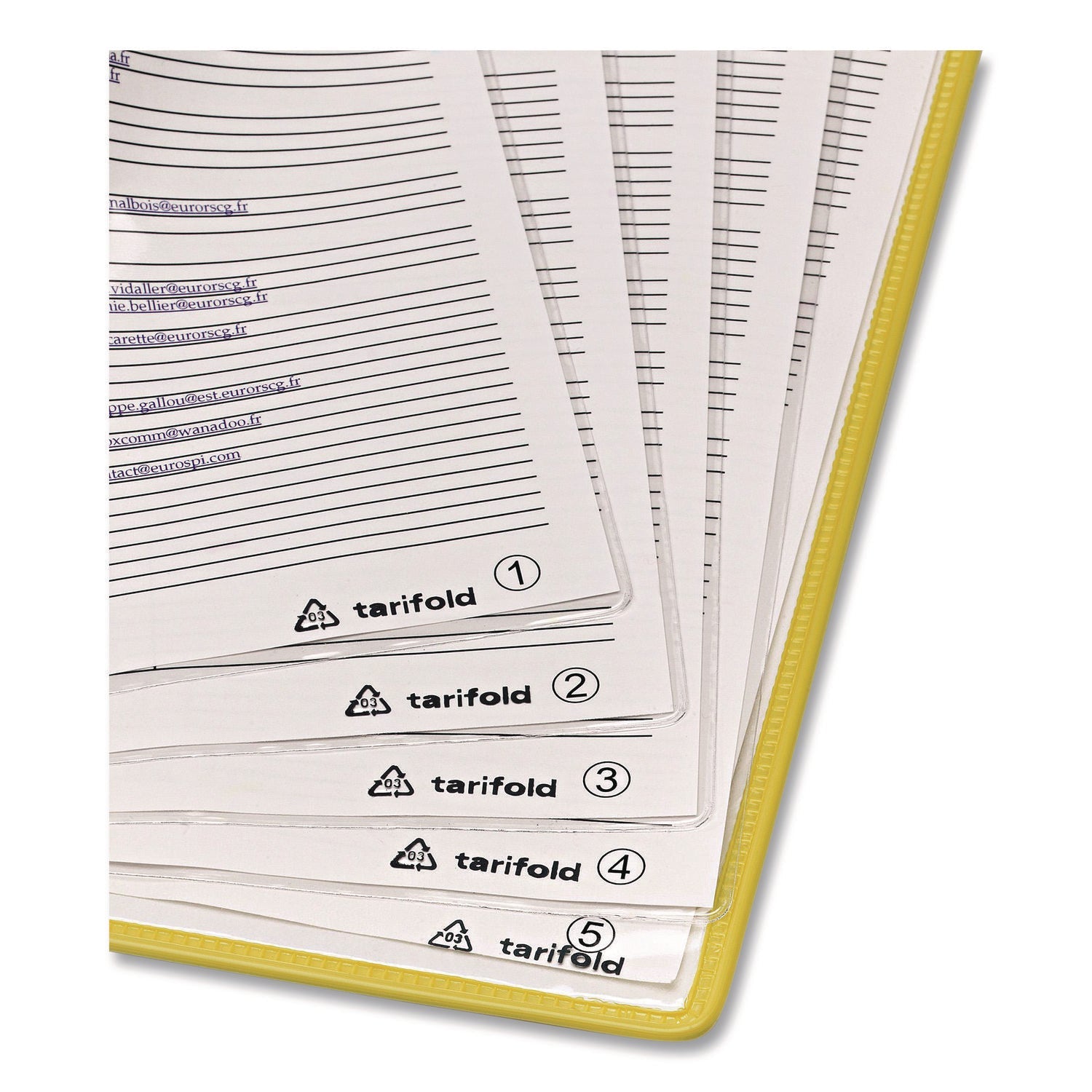 djois® by Tarifold Foldfive Pockets, 25 Sections, Clear Panel Assorted Color Border, 5/Pack - Bloom Skins