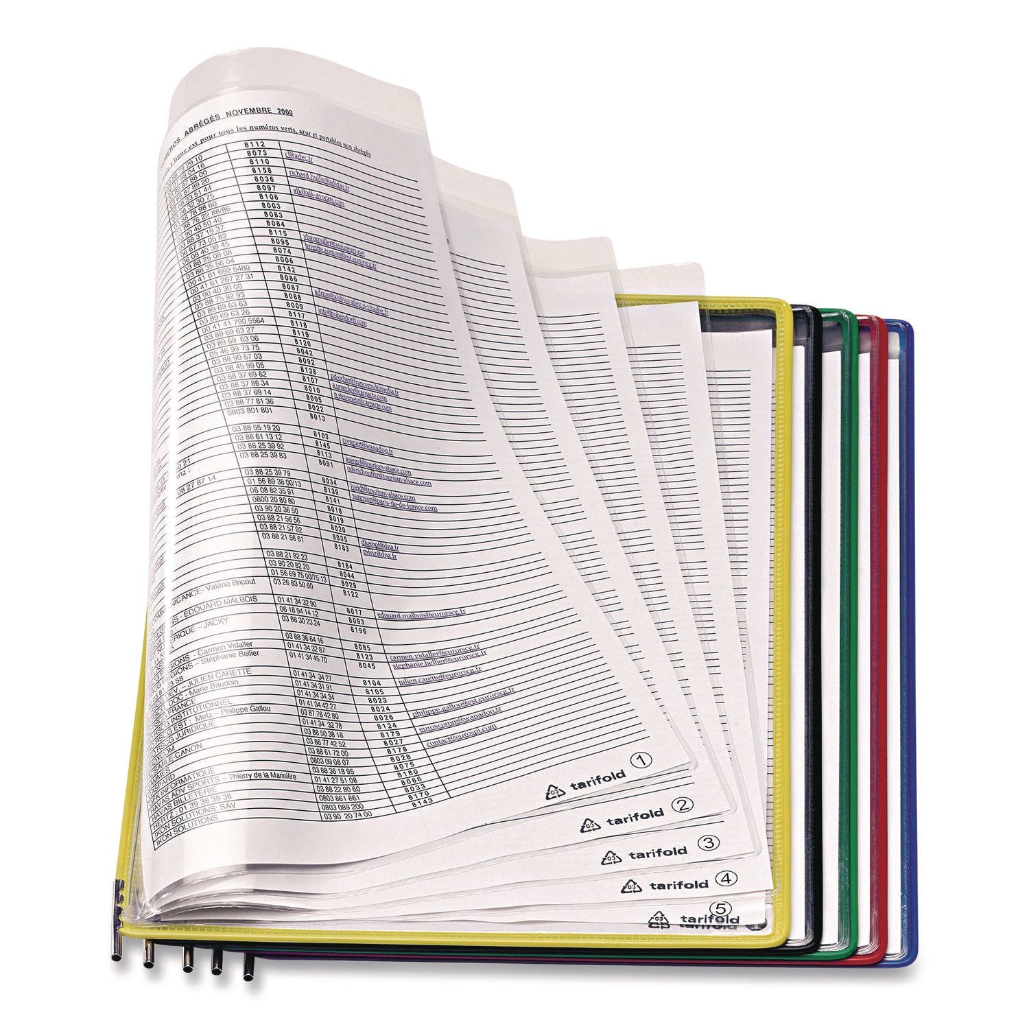 djois® by Tarifold Foldfive Pockets, 25 Sections, Clear Panel Assorted Color Border, 5/Pack - Bloom Skins