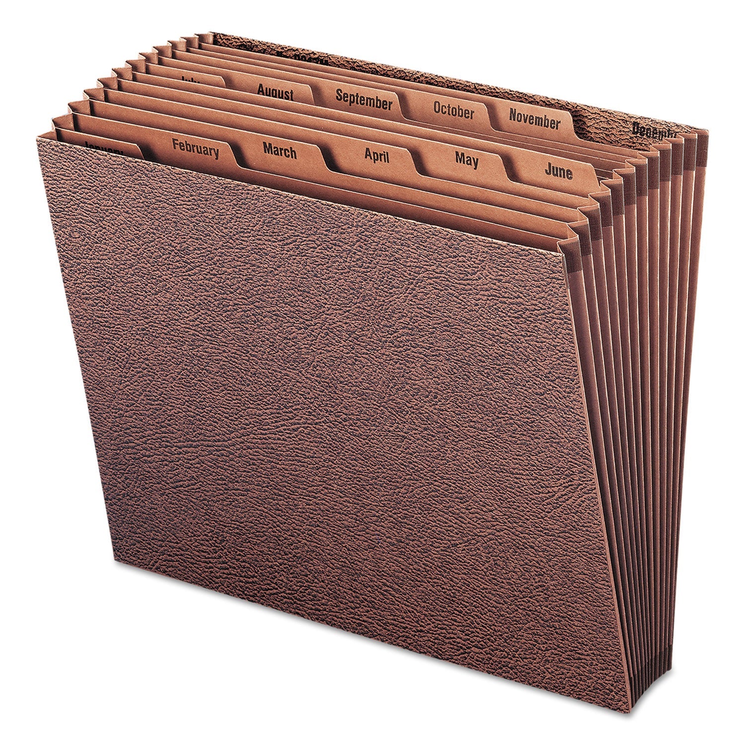 Expanding Stadium File | 12-Section, Letter Size