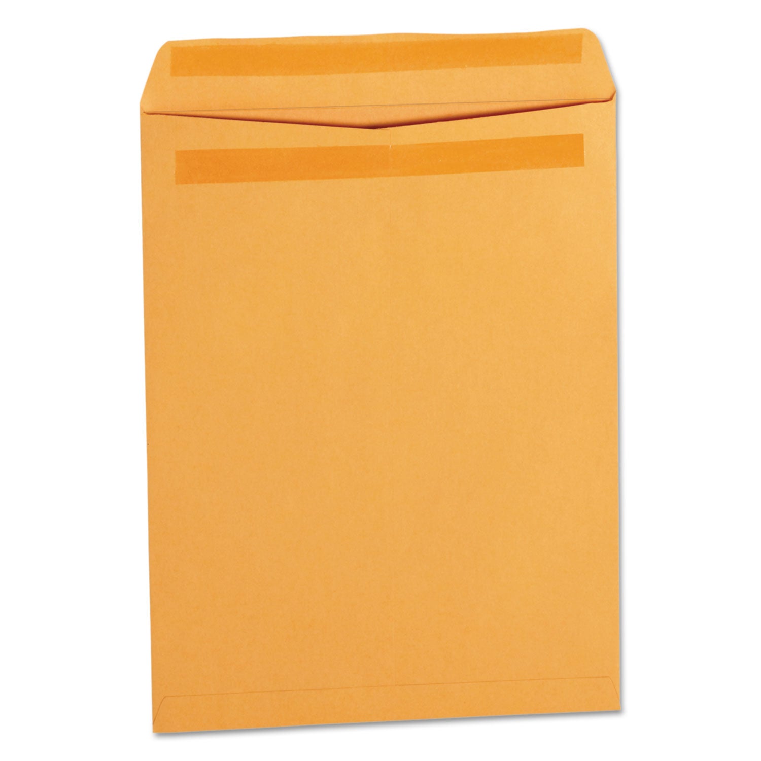 Self-Stick Open End Catalog Envelope | #12.5