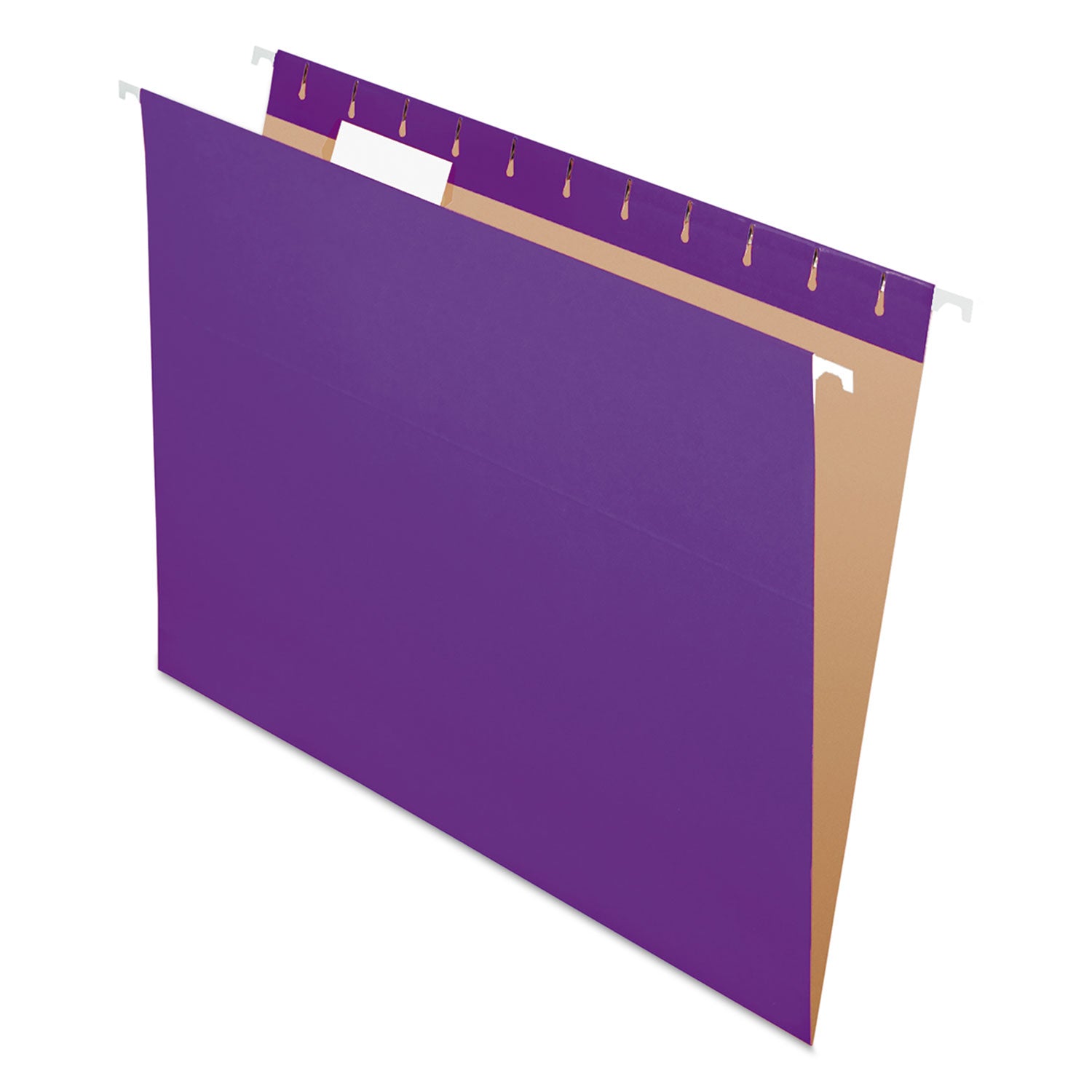 Pendaflex Colored Hanging Folders | Letter Violet