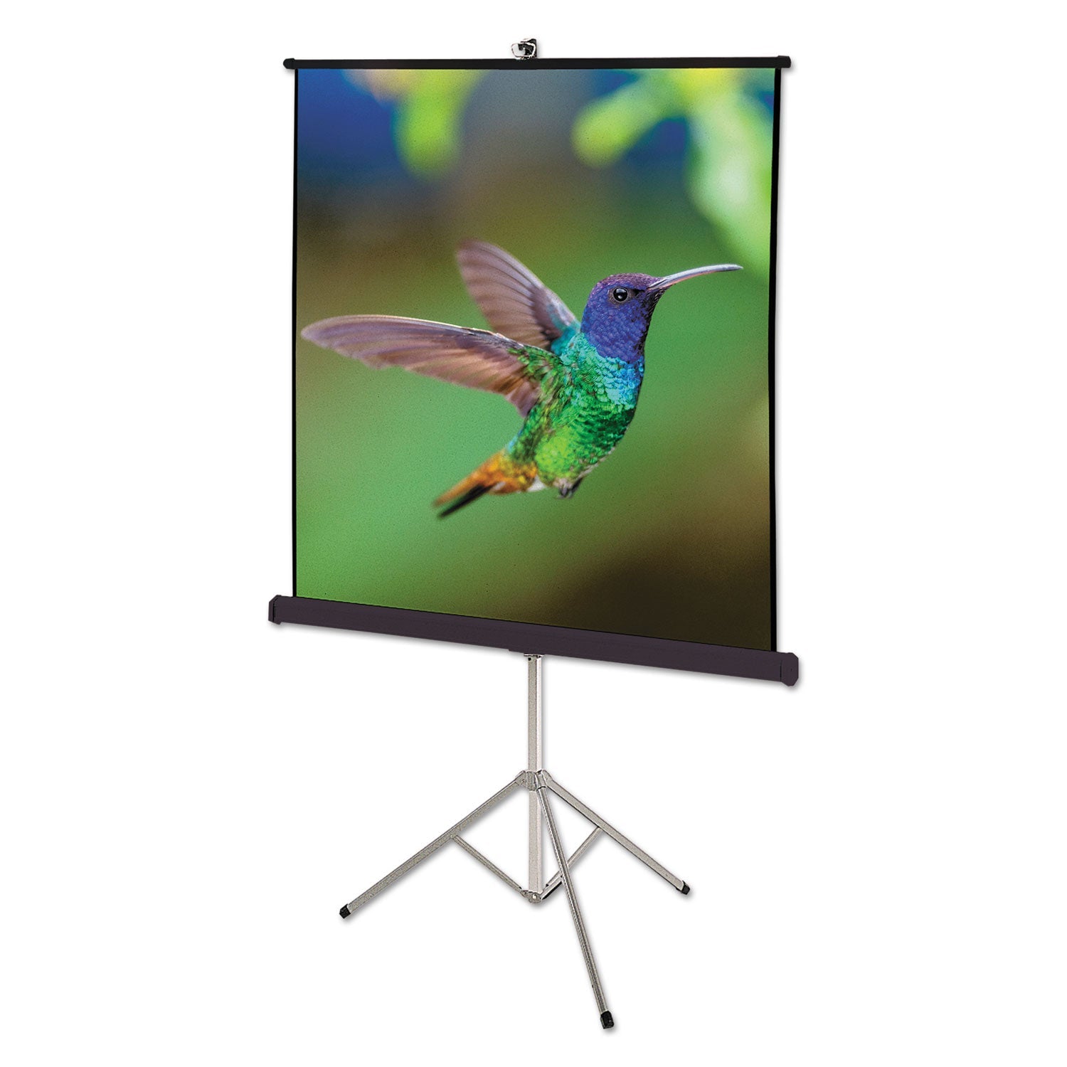 Quartet Portable Tripod Projection Screen | 60x60