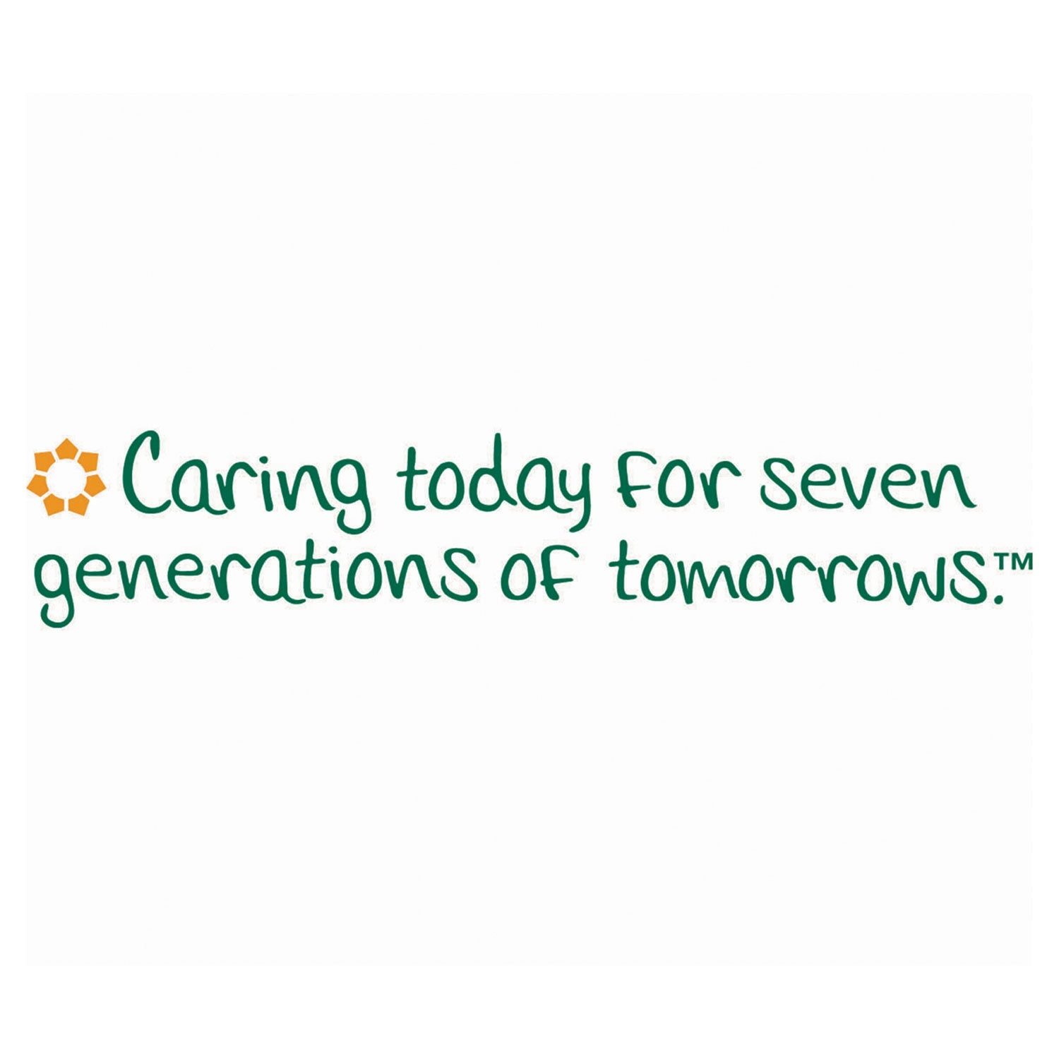 Seventh Generation® 100% Recycled Paper Kitchen Towel Rolls, 2-Ply, 11 x 5.4, 140 Sheets/Roll, 2 Rolls/Pack, 12 Packs/Carton