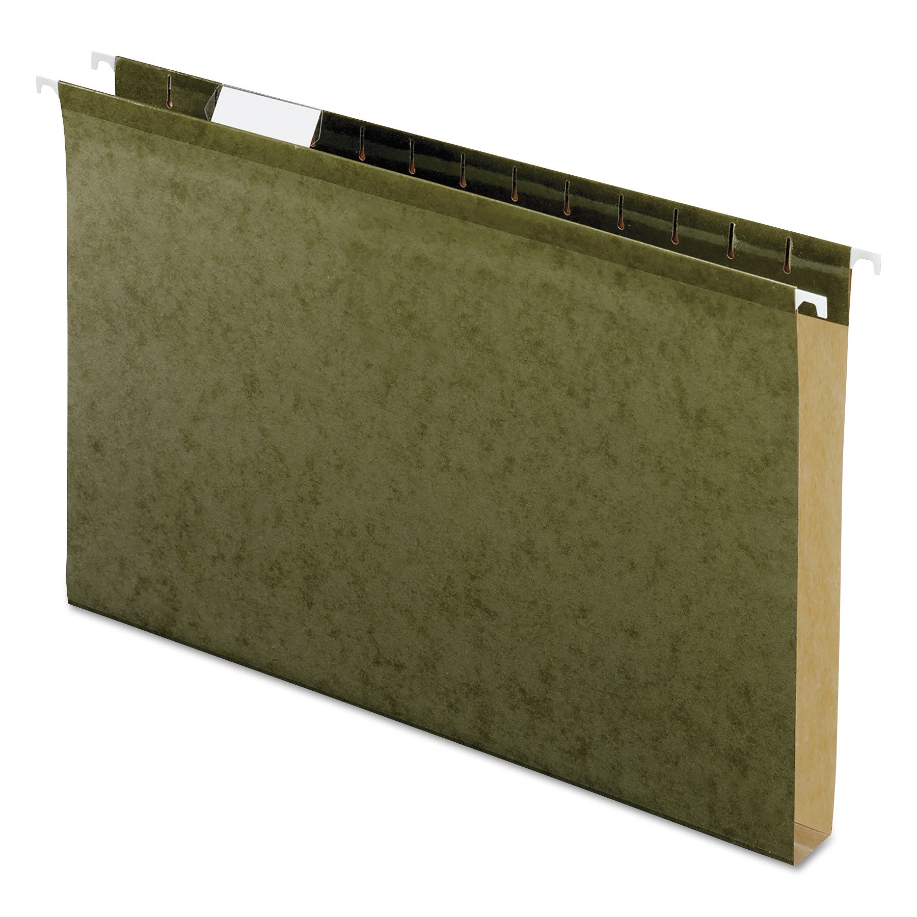 Extra Capacity Hanging File Folders | 1"