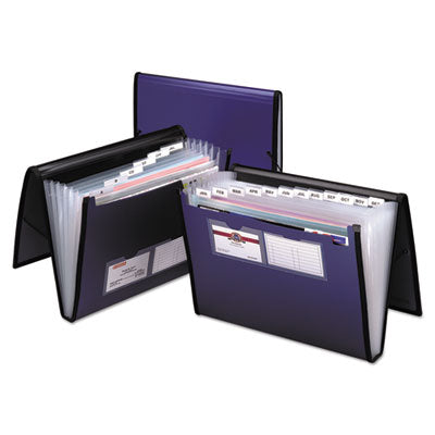 Professional Expanding Organizer | 7-Section, Blue