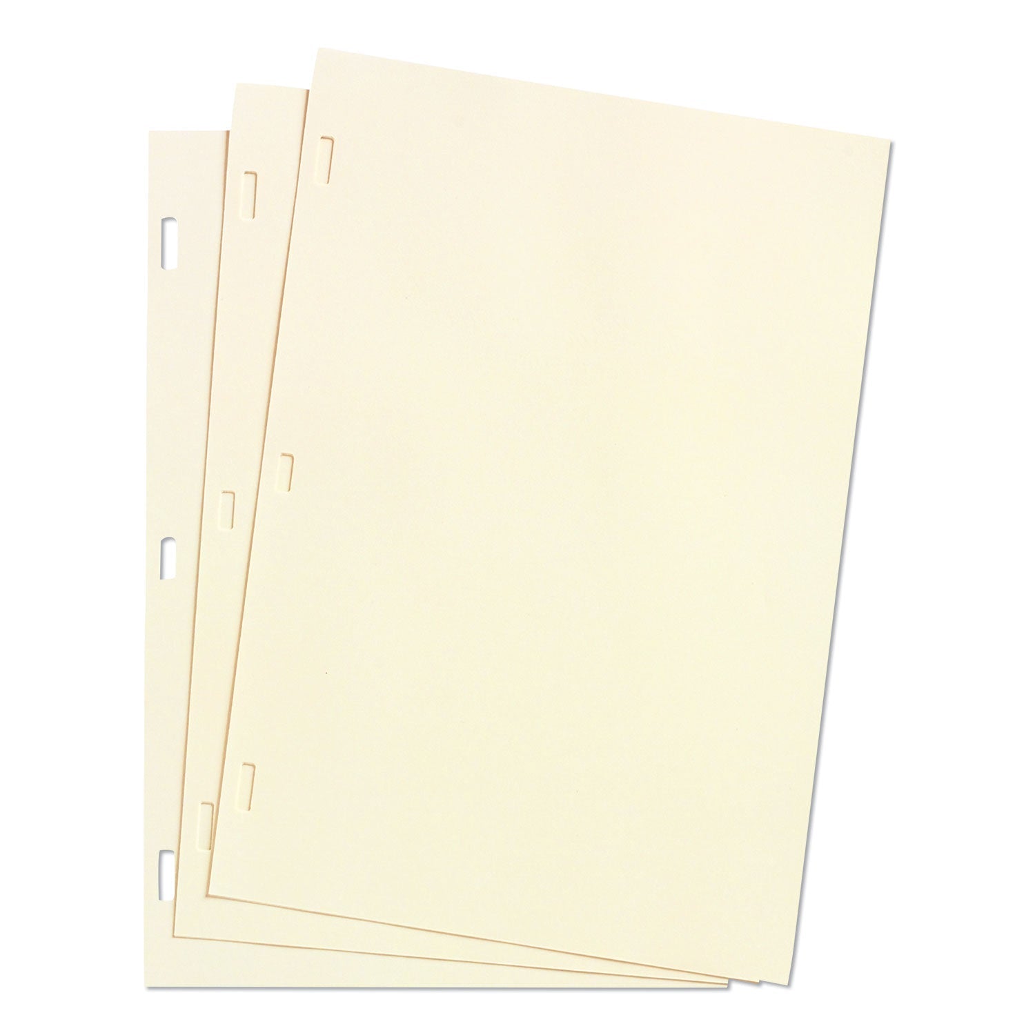 Looseleaf Minute Book Ledger Sheets | 100 Sheets