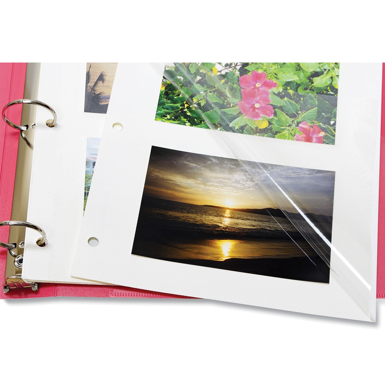 C-Line® Redi-Mount Photo-Mounting Sheets, 11 X 9, 50/box