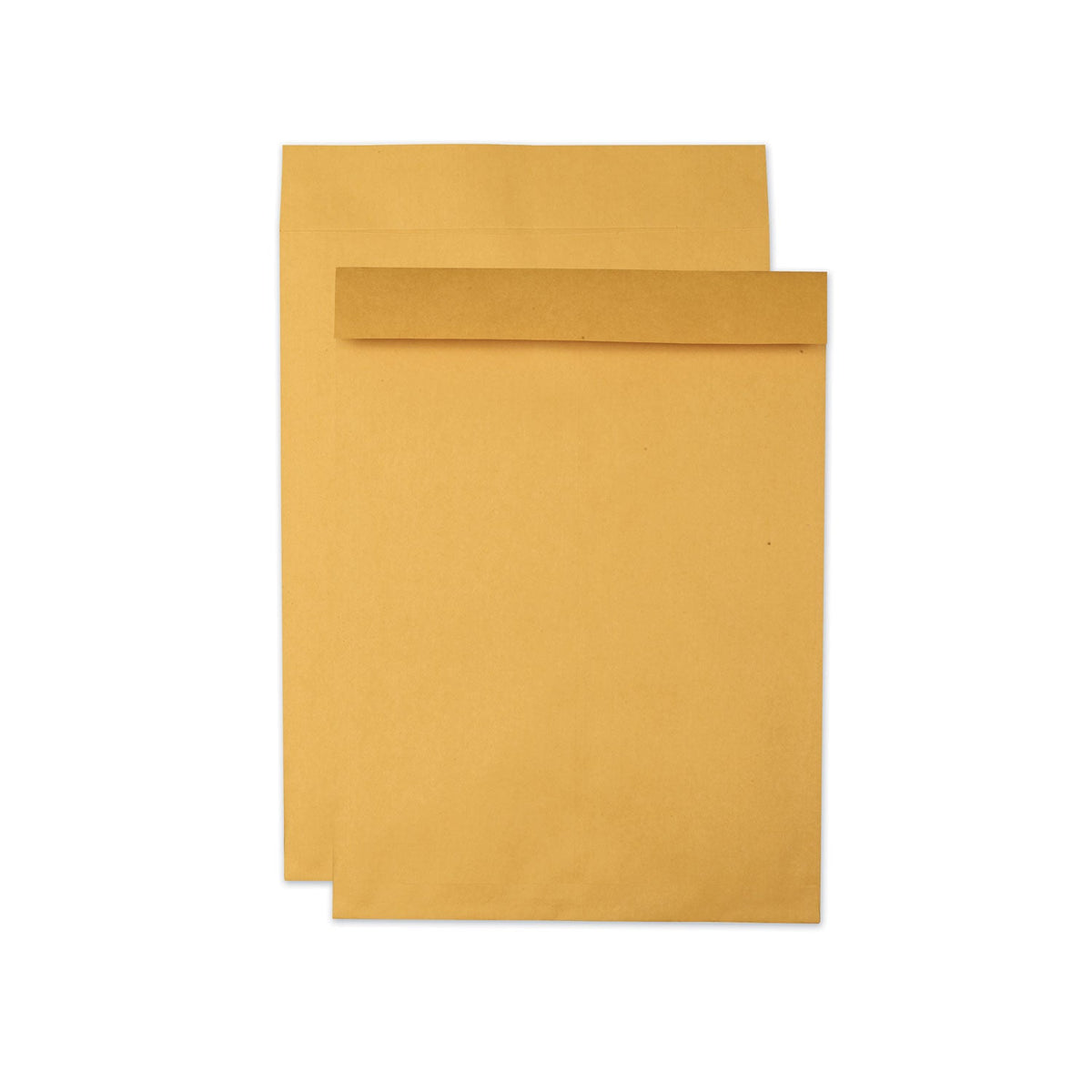 Quality Park Jumbo Size Kraft Envelope | 15x20