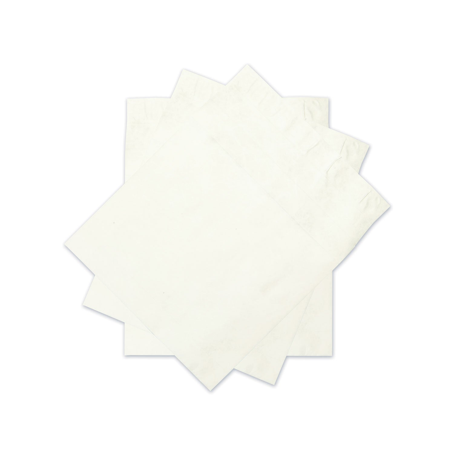 Tyvek Heavyweight Expansion Mailer | 12x16