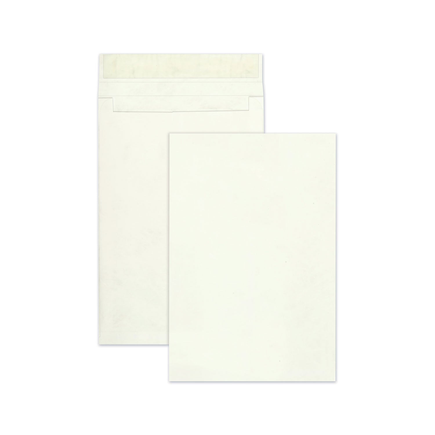 Survivor Lightweight Tyvek Expansion Mailers | 12x16