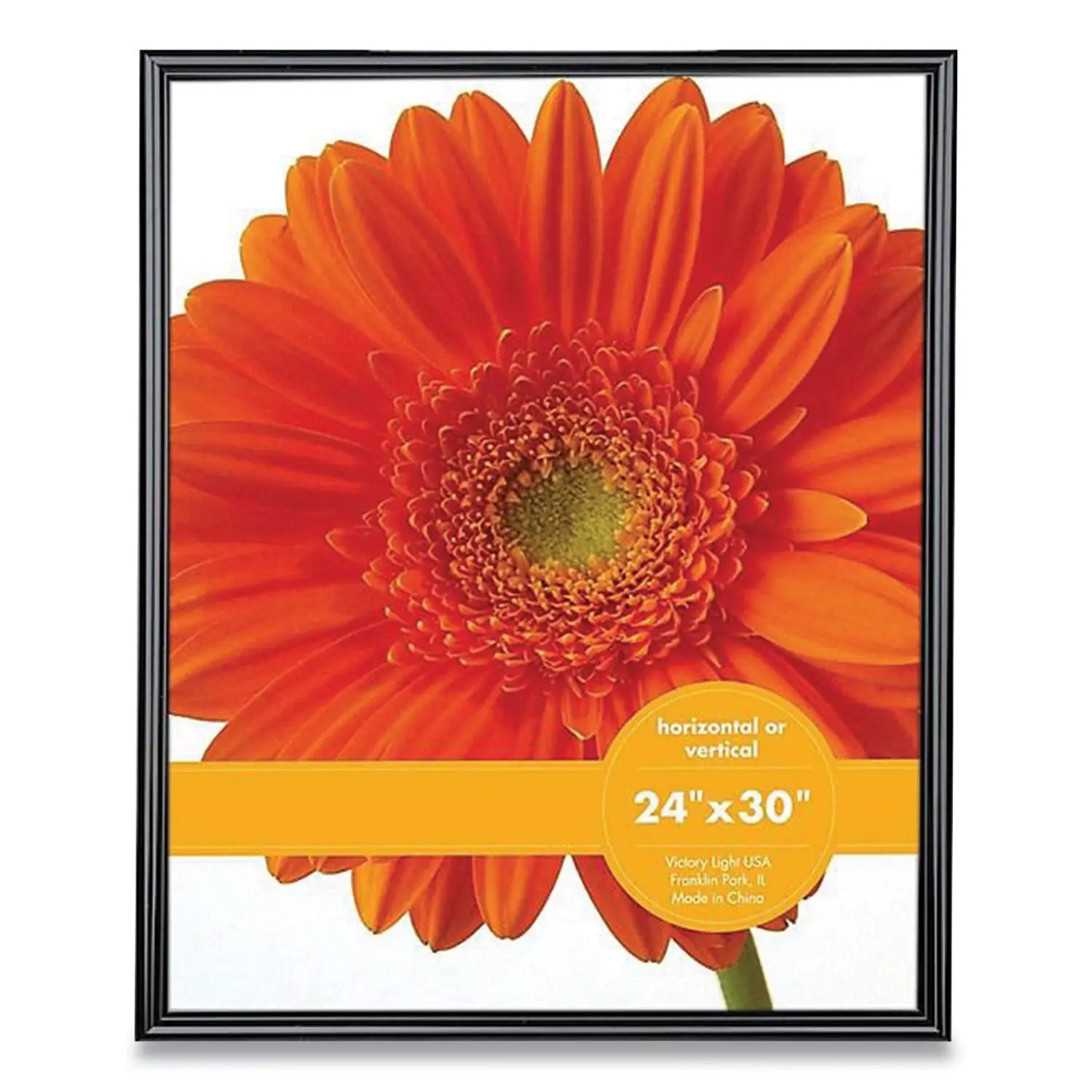 Victory Light Plastic Poster Frame, 24 X 30 Insert, Black - Bloom Skins